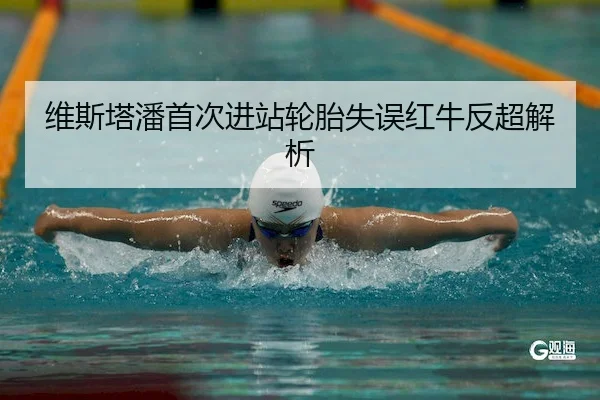 维斯塔潘首次进站轮胎失误红牛反超解析